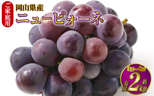 ご家庭用 岡山県産 ニューピオーネ 約2kg（3房～6房） 【2024年8月下旬 