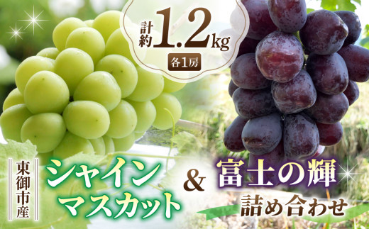 数量限定！】東御市産シャインマスカット＆富士の輝きのセット｜長野県 長野 人気 ぶどう 贈答用 ギフト ２房 フルーツ 果物 おすすめ 厳選 種無し  皮ごと 希少品種 - 長野県東御市｜ふるさとチョイス - ふるさと納税サイト