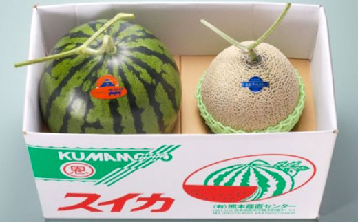熊本県産 大玉スイカ1玉とマスクメロン1玉 合計2玉 【2025年5月