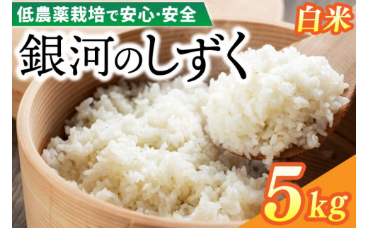 新米】令和6年産 銀河のしずく 5kg (精米) 低農薬栽培米 生産者直送 生産地域限定ブランド米 (EI002) - 岩手県紫波町｜ふるさとチョイス  - ふるさと納税サイト