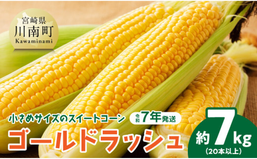 沖縄県産 スイートコーン ゴールドラッシュ 沖縄県産 スイートコーン ゴールドラッシュ（予約販売】〈約5kg