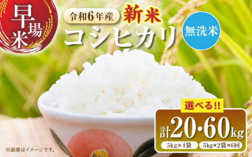 完売）②令和6年コシヒカリ新米！広島県三次産！ （楽天市場