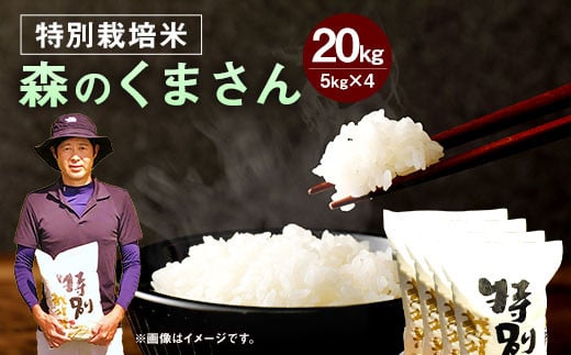 令和6年産】 相良村産 特別栽培米 森のくまさん 20kg 【2024年10月下旬～2025年10月下旬発送予定】 お米 白米 精米 - 熊本県相良村｜ふるさとチョイス  - ふるさと納税サイト