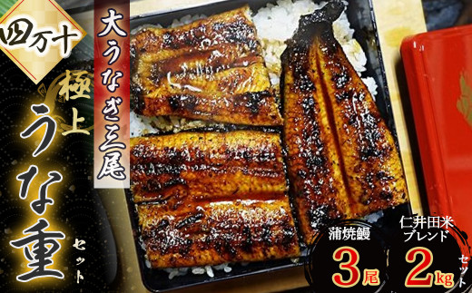 ドドドンと大うなぎ3尾！四万十の「極上うな重セット」 Esg-A24 冷凍