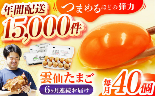 卵 定期便 6か月】 雲仙たまご 40個(卵10個入り×4パック) 長崎県/塚