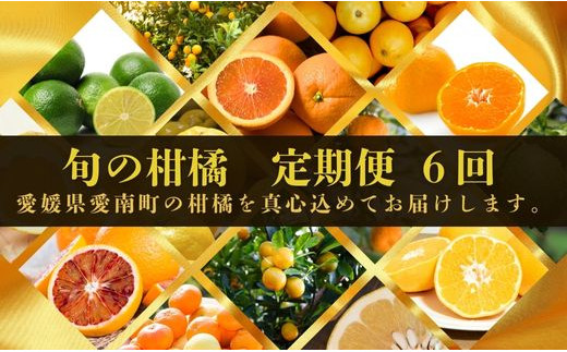 2025年11月～】定期便 全6回 旬の柑橘 食べ比べ 家庭用 訳あり レモン 
