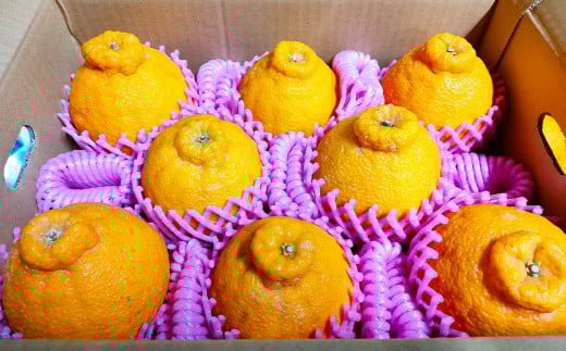 yF{szՂ󂯂Zsm 7`10ʁi2kgj y2026N2{`3{\z fR| ݂ k ʕ t[c F{