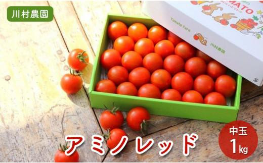 yÉÉszyÉEOۏ̊ng}gzÂƎ|ՂIt[eB[Ȓʃg}giA~mbhj1kg 30`35ʓ@쑺_