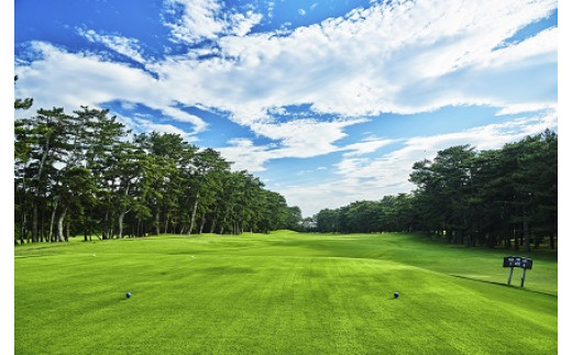 sd1_3a9c99f9945bc988a6dcc8f660