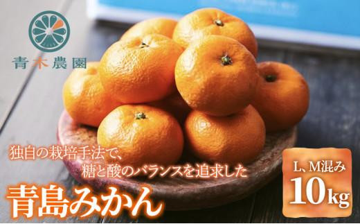 2026年1月中旬より順次発送】青木農園 青島みかん 10kg【配送不可