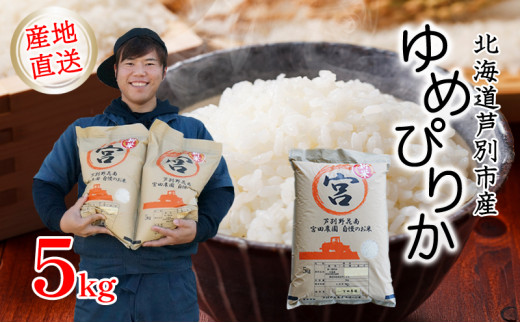 ゆめぴりか 北海道産 5kg 令和6年産 8月中旬精米 白米 お米