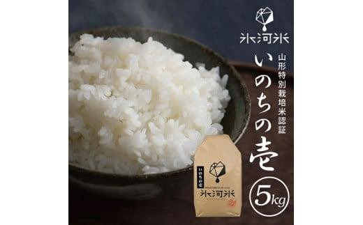 令和6年産【精米】いのちの壱 5kg農家直送『氷河米』 AG　＜アグレスト＞