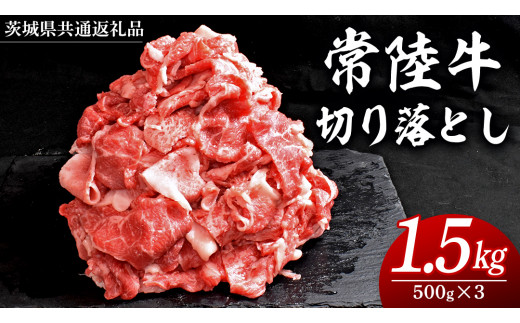 y錧vszy2025N11z헤 ؂藎Ƃ 1.5kg ( 500g × 3pbN )  Y   ؂藎Ƃ ؗ   A4 A5 uh јa a Yјa Y Ă
