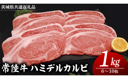 y錧vsz헤 n~fJr 1kg i 6`10 j (錧ʕԗi)  Y Ă Ju Q^ uc u Jr o[xL[ BBQ  uh јa a Y