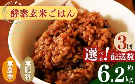 yޗǌQzy  3 zyf ͂ (  )  6.2kg | |   R  ͂ ܂ Q} C yf y e N yf H pE` Ⓚ wV[  G~jj