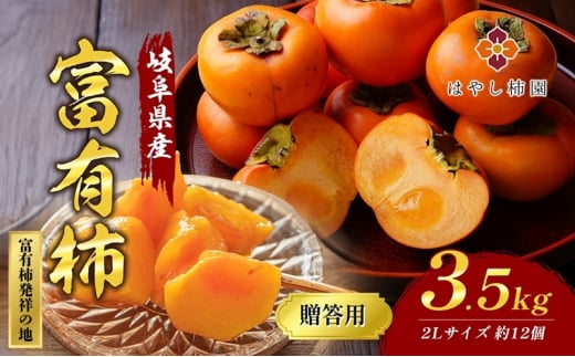 y򕌌sz͂₵`̑pxL`3.5kg 2LTCY 12 x Z H̖o Mtg 2025N11{菇\ ւ̔zs