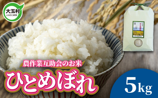 米 5kg ひとめぼれ 令和6年 新米 ｜ 福島県 大玉村 農作業互助会 白米 こめ コメ 米作り 精米 ヒトメボレ こめ コメ 令和6年産  2024年産 ｜ gj-hb05-R6 - 福島県大玉村｜ふるさとチョイス - ふるさと納税サイト