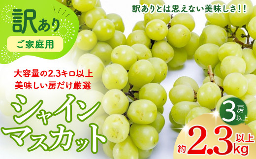 【2025年発送】訳あり 2.3kg 3房以上 シャインマスカット 先行予約 山梨県産 国産 産地直送 人気 おすすめ 贈答 ギフト お取り寄せ  フルーツ 果物 くだもの ぶどう ブドウ 葡萄 わけあり ワケアリ 新鮮 甘い 皮ごと 甲斐市 BI-1 - 山梨県甲斐市｜ふるさとチョイス ...