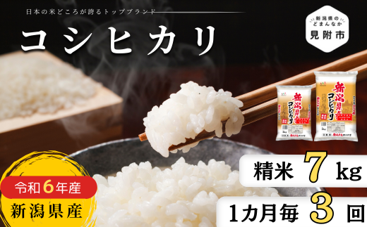 米 定期便 7kg×3か月 (計 21kg) 新潟県産 コシヒカリ 令和6年産 精米したてをお届け 新潟のど真ん中見附市 こしひかり - 新潟県見附市｜ふるさとチョイス  - ふるさと納税サイト