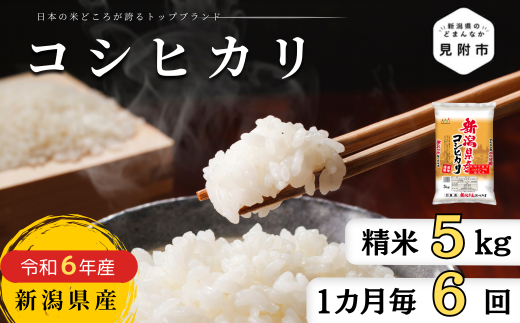 米 定期便 5kg×6か月 (計 30kg) 新潟県産 コシヒカリ 令和6年産 精米したてをお届け 新潟のど真ん中 見附市 こしひかり - 新潟県見附市｜ふるさとチョイス  - ふるさと納税サイト