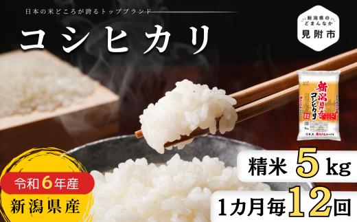 米 定期便 5kg×12か月 (計 60kg) 新潟県産 コシヒカリ 令和6年産 精米したてをお届け 新潟のど真ん中 見附市 こしひかり -  新潟県見附市｜ふるさとチョイス - ふるさと納税サイト