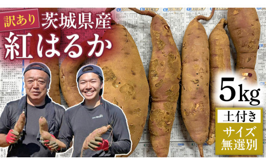 訳あり】 茨城県産 さつまいも 5kg （ 紅はるか ） 土付き ・ サイズ 