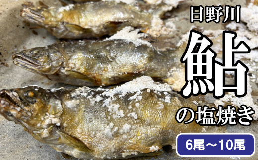 鮎の塩焼き【アユ 塩焼き 600g～700g 6尾～10尾 鳥取県産 日吉津村