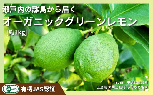 10〜11月発送] 大崎上島産 有機JAS認証！オーガニックグリーンレモン 約1kg - 広島県大崎上島町｜ふるさとチョイス - ふるさと納税サイト