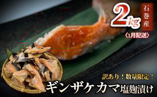 y{錧Ίszy 󂠂 /  zY  J} Ђ 2kg 1z Ⓚ s ƒp    T[ ċ y  J} VP Ⴏ J} 킯  Ⓚ ʌ {