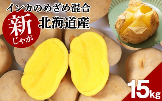 ykCΎszy 2025N VႪ zCĴ߂  15kg   Ⴊ WKC CJ  kC 