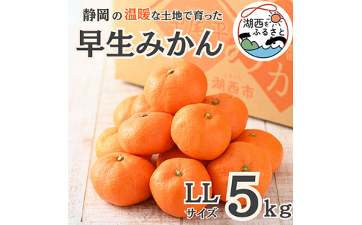 【静岡県湖西市】<先行受付><11月上旬より順次出荷予定>早生みかん約5kg LLサイズ〔鈴木農園〕【1510120】