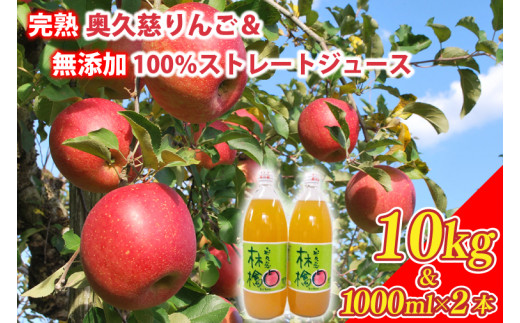 2024年11月上旬以降発送開始】奥久慈りんご園の樹上完熟 奥久慈りんご 10kg（30～40玉）＆りんご無添加100％ストレートジュース  1000ml×2本（AI005） - 茨城県大子町｜ふるさとチョイス - ふるさと納税サイト