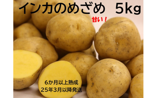インカ,のつぼ