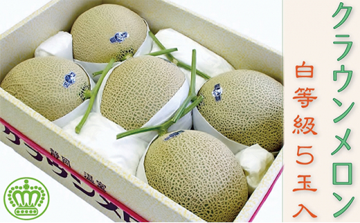 yÉlszNE@@5ʓyzsFz [5786-3625]