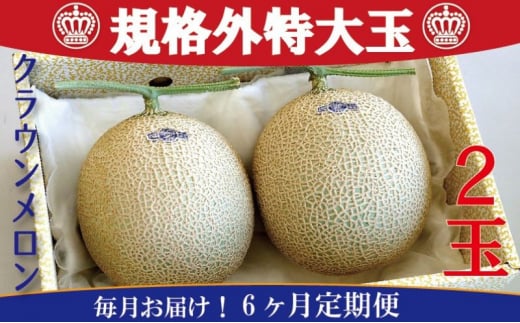 yÉlszNE@KiOʁ@2ʓy͂6ցzyzsFz [5786-4676]