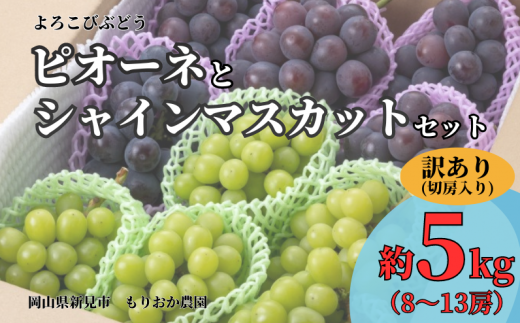 もりおか農園のよろこびぶどう ピオーネとシャインマスカットの詰め合わせ 約5kg 8～13房(切房込み) 訳あり【先行予約  2025年10月上旬から順次発送】 - 岡山県新見市｜ふるさとチョイス - ふるさと納税サイト