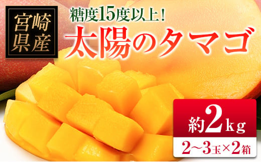 □糖度15度以上！宮崎県産 「太陽のタマゴ」（合計約2kg） - 宮崎県｜ふるさとチョイス - ふるさと納税サイト