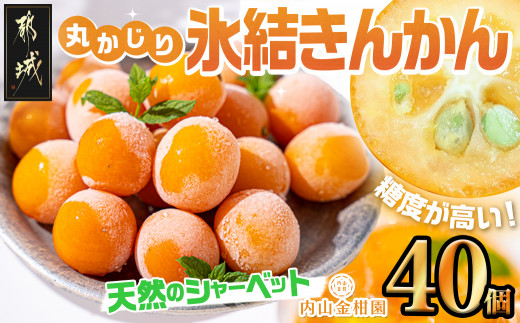 値下げ！十四代 本丸 氷温保存 6月瓶詰め 値下げ！十四代 本丸 氷温保存 一升瓶 6月瓶詰め（値下げ！十四代