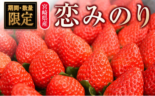 ◇宮崎県産いちご「恋みのり」（計8パック） - 宮崎県｜ふるさと