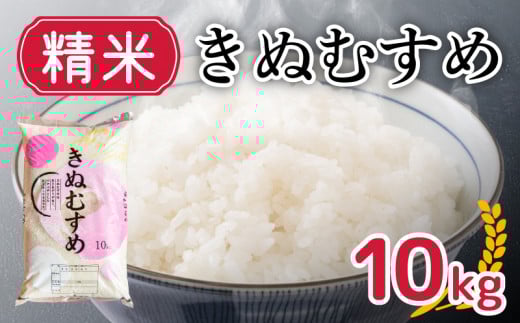 yR֎szV ʂނ 10kg  e  ͂1  1񂨓͂  O Ă Lc  R y 10ȍ~  z