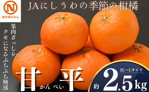 JAにしうわの季節の柑橘(八幡浜共選「濱ノ姫」約5kg)＜D08-41＞【1443319】 - 愛媛県八幡浜市｜ふるさとチョイス - ふるさと納税サイト