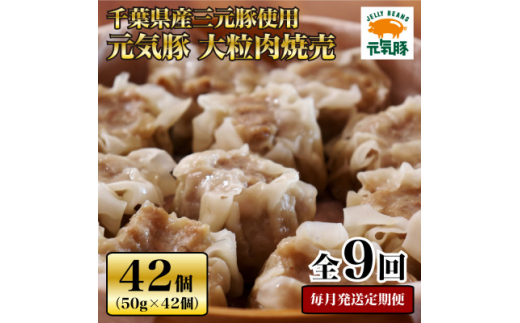 ytÒzցC 嗱ĔZbg 42Zbg(v2.1kg)S9y4055283z