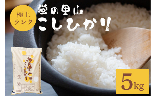 y錧}Ԏszߘa7Nx V _sgpbu̗RЂ 5kg RVqJ  Ђ V  uh   5kg Y  Mtg ɂ ٓ R7NY ͂ 