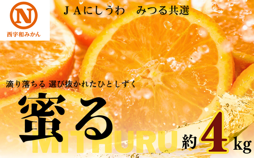 JAにしうわの季節の柑橘(みつる共選「蜜る」約4kg)＜C08-48＞【1443355】 - 愛媛県八幡浜市｜ふるさとチョイス - ふるさと納税サイト