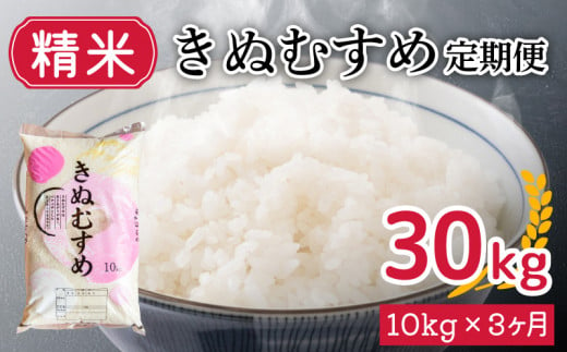 定期便 3ヶ月 】新米 きぬむすめ 10kg × 3ヶ月 計 30kg 精米 大容量 米 お届け回数3回 お米 定期便お届け 白米 直前精米  精米したて 豊田町 下関 山口 - 山口県下関市｜ふるさとチョイス - ふるさと納税サイト