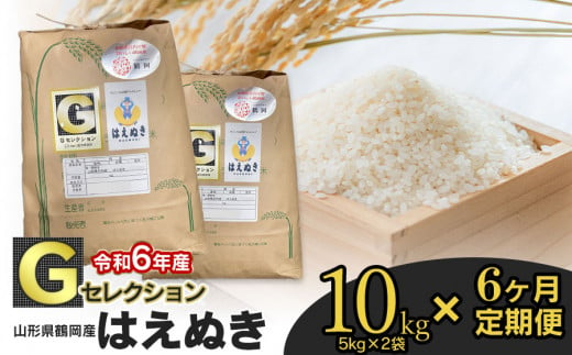 令和6年産】【定期便6ヶ月】 Gセレクション はえぬき 精米 10kg (5kg×2袋)×6ヶ月 山形県鶴岡市産 K-637 鶴岡地区物産協同組合 -  山形県鶴岡市｜ふるさとチョイス - ふるさと納税サイト