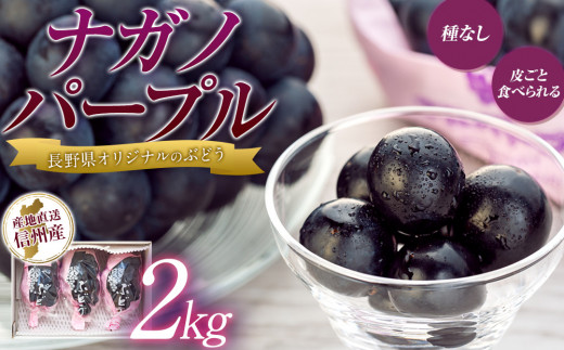 ぶどう ナガノパープル 2kg 葡萄 ブドウ 長野パープル 果物 くだもの 