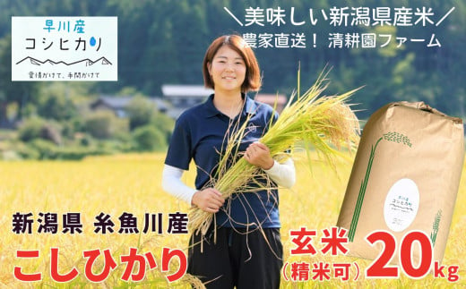 令和6年産新米予約】米 新潟県産コシヒカリ 玄米20kg 農家直送 2024年産 清流早川が育てたうまい米 精米サービス 清耕園ファーム 【糸魚川  こしひかり おこめ ご飯 ライス ふるさと納税米 20キロ】 - 新潟県糸魚川市｜ふるさとチョイス - ふるさと納税サイト