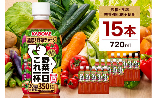 カゴメ 野菜一日これ一杯 720mlPET×15本【 飲料 野菜ジュース 栃木県 那須塩原市 】 ns001-032 -  栃木県那須塩原市｜ふるさとチョイス - ふるさと納税サイト