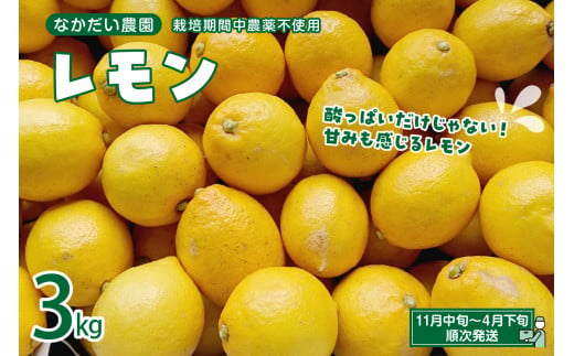 栽培期間中農薬不使用「レモン」 約1kg レモン れもん 檸檬 特別栽培 皮まで安心 瀬戸内 産地直送 お取り寄せグルメ 送料無料 特別栽培農産物  広島県 呉市 - 広島県呉市｜ふるさとチョイス - ふるさと納税サイト